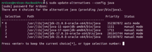 switch version of current Java in Ubuntu
